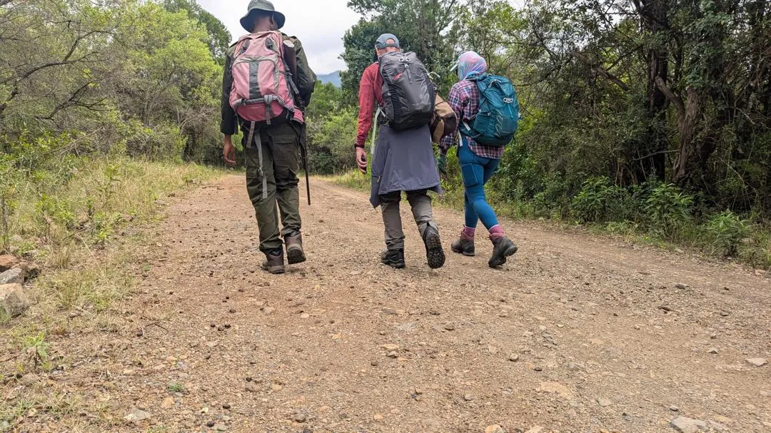 Mount Kilimanjaro trekking landscape